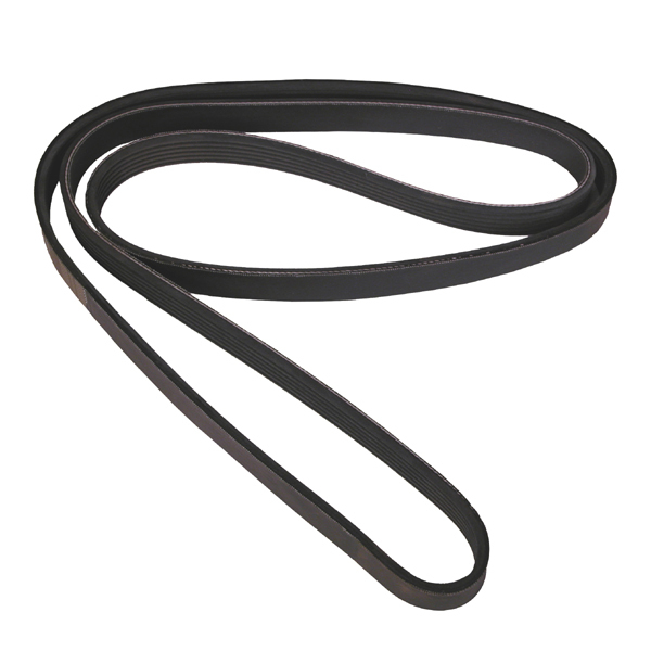 Serpentine Belt